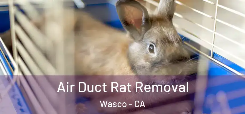  Air Duct Rat Removal Wasco - CA