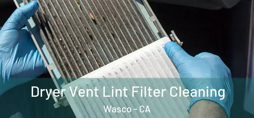  Dryer Vent Lint Filter Cleaning Wasco - CA