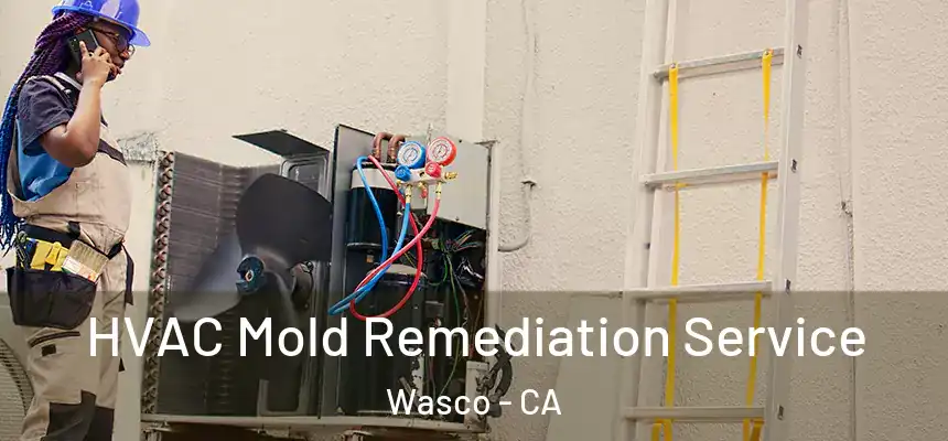  HVAC Mold Remediation Service Wasco - CA