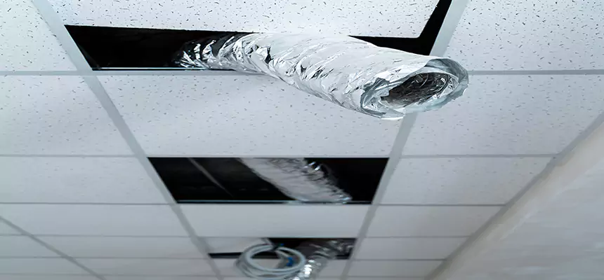 Our Air Duct Pet Hair Removal Services in Wasco, CA