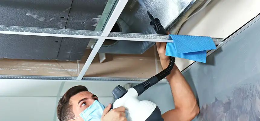 Our Air Duct Rodent Removal Services in Wasco, CA