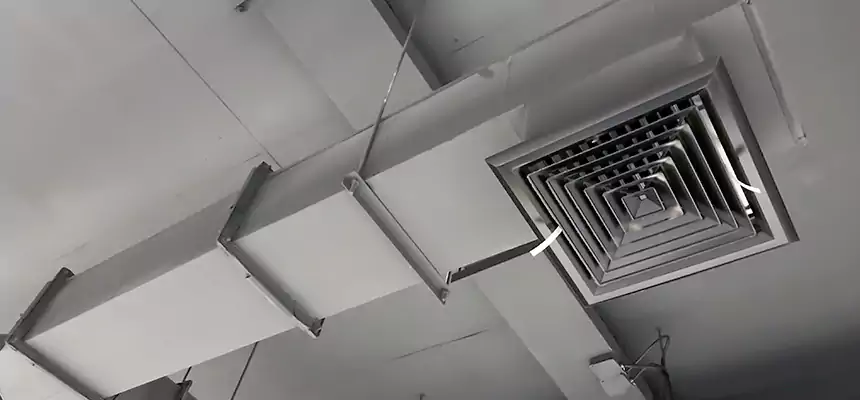 Our Rodent Droppings In Vents Services in Wasco, CA