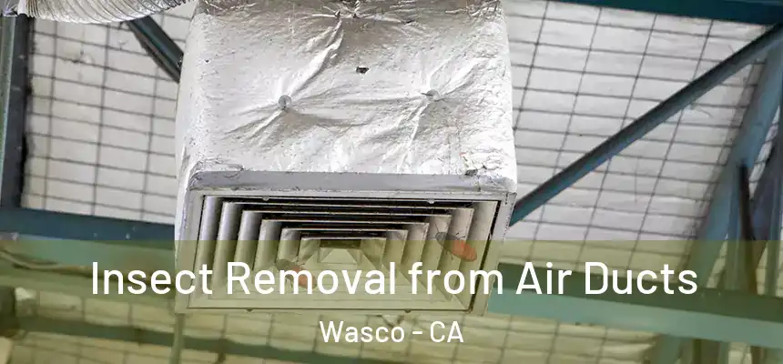  Insect Removal from Air Ducts Wasco - CA