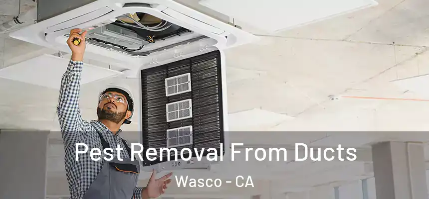  Pest Removal From Ducts Wasco - CA