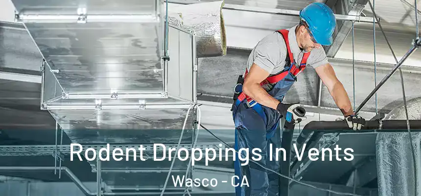  Rodent Droppings In Vents Wasco - CA