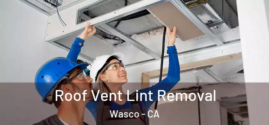  Roof Vent Lint Removal Wasco - CA