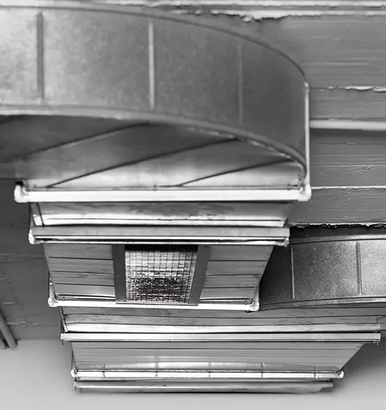 Professional Air Duct Pest Removal in Wasco, CA