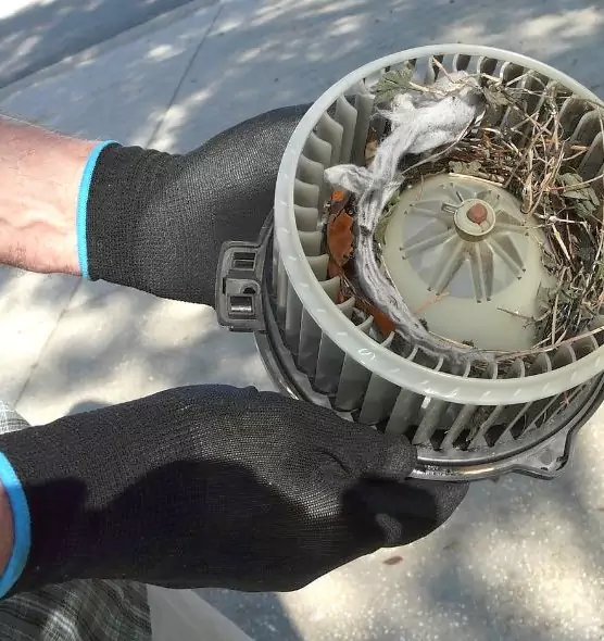 About Air Duct Rat Removal in Wasco, CA