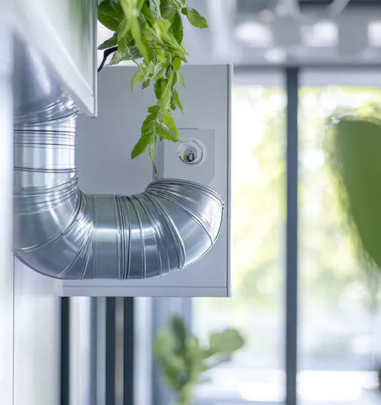 Professional Eco-Friendly Duct Cleaning Services in Wasco, CA