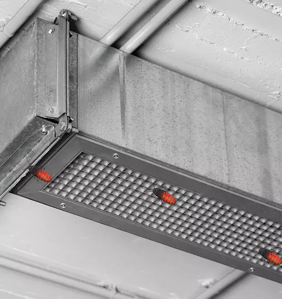 Affordable Insect Removal from Air Ducts in Wasco, CA