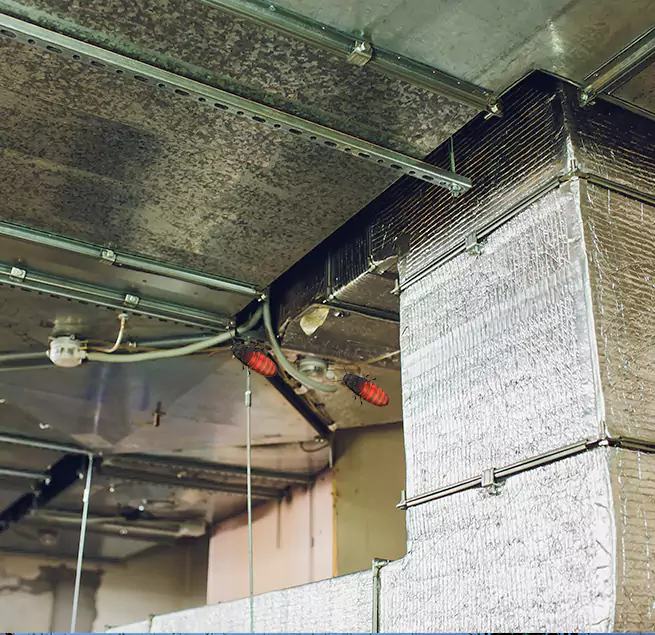 Why Homeowners & Businesses Trust Us in Wasco, CA?