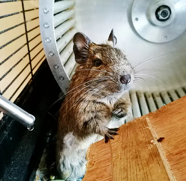 Why Homeowners & Businesses Trust Us Wasco, CA