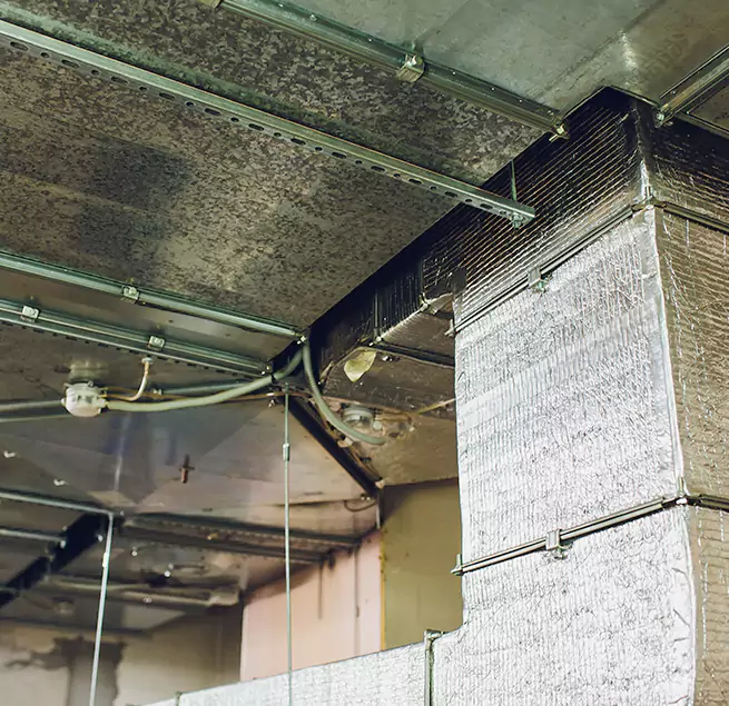 Why Homeowners & Businesses Trust Us in Wasco, CA?